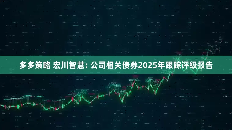 多多策略 宏川智慧: 公司相关债券2025年跟踪评级报告