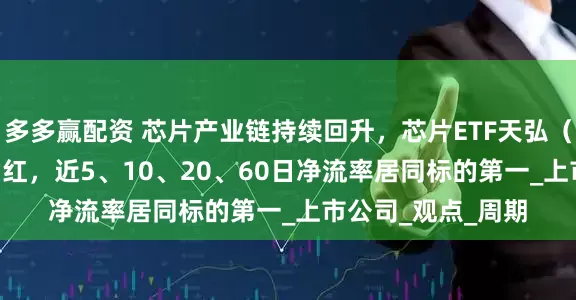 多多赢配资 芯片产业链持续回升，芯片ETF天弘（159310）盘中翻红，近5、10、20、60日净流率居同标的第一_上市公司_观点_周期