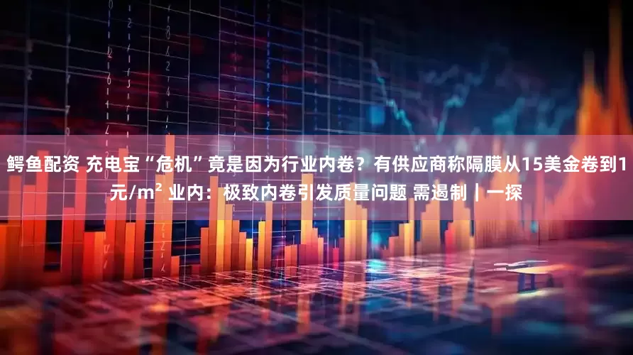 鳄鱼配资 充电宝“危机”竟是因为行业内卷？有供应商称隔膜从15美金卷到1元/m² 业内：极致内卷引发质量问题 需遏制｜一探