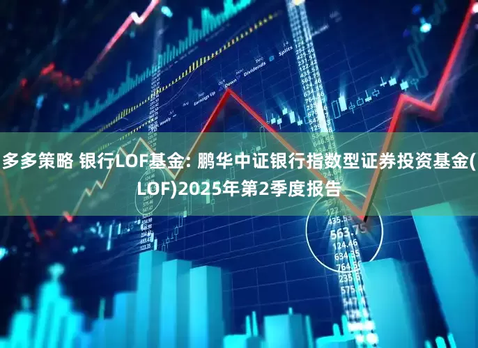 多多策略 银行LOF基金: 鹏华中证银行指数型证券投资基金(LOF)2025年第2季度报告